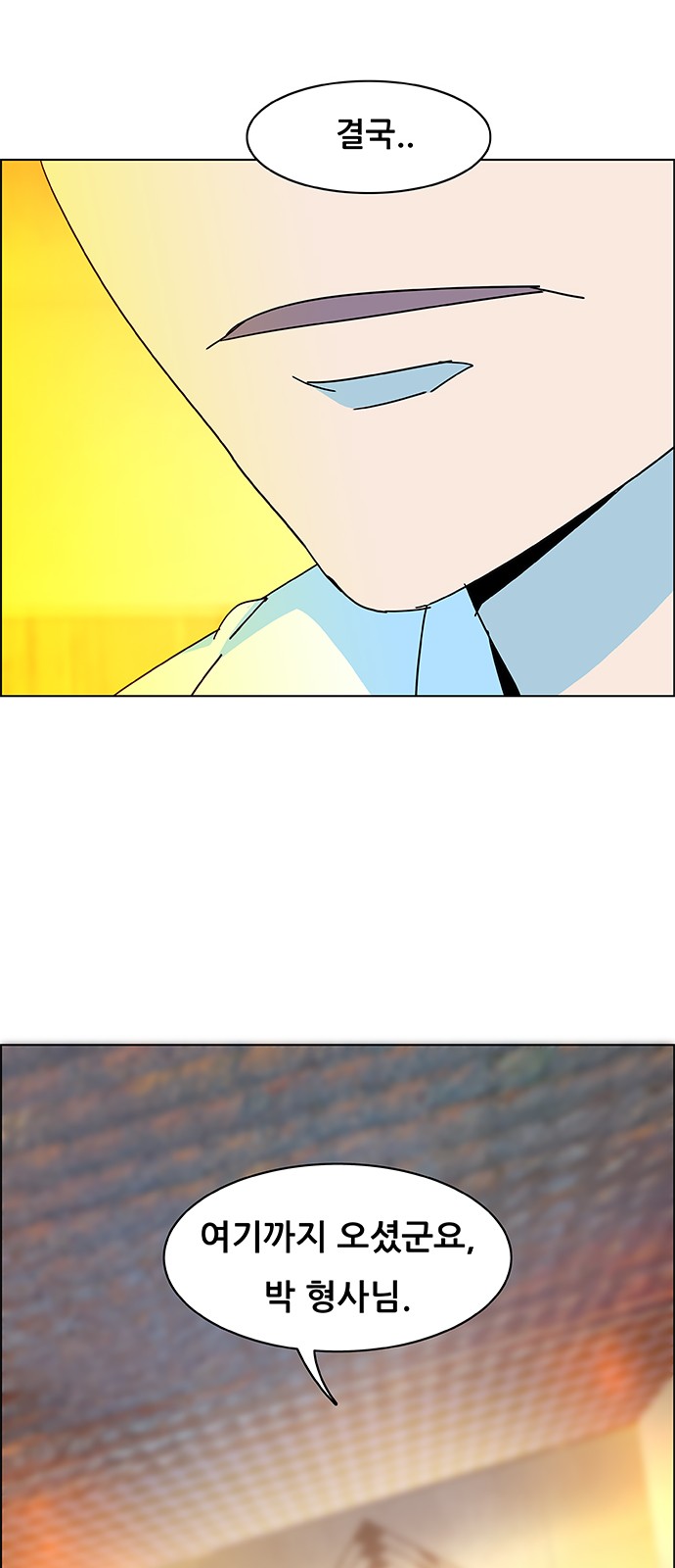 46 페이지