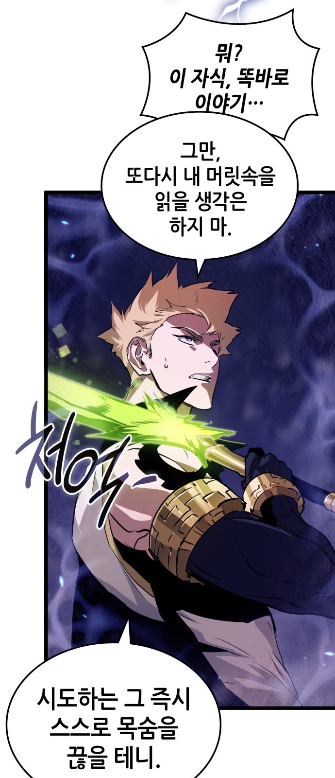 66 페이지