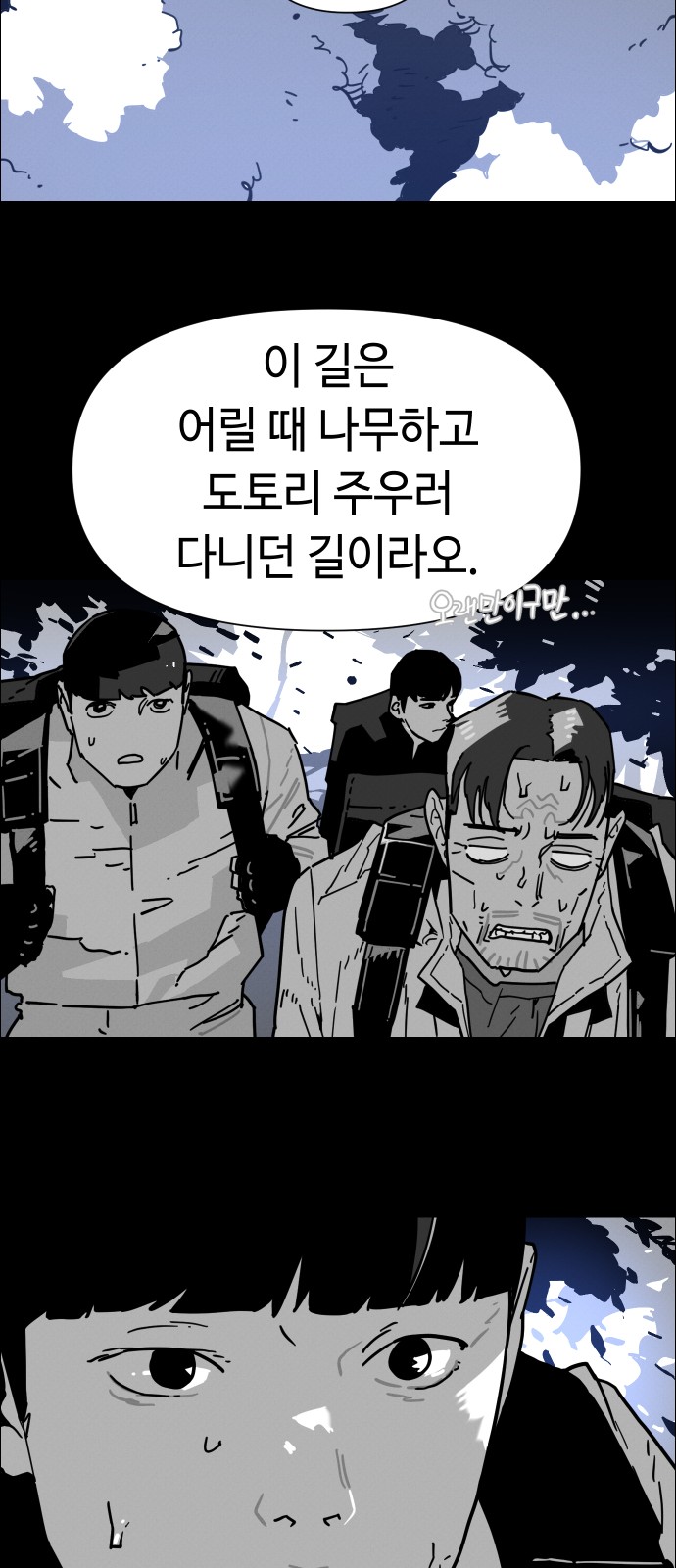 66 페이지
