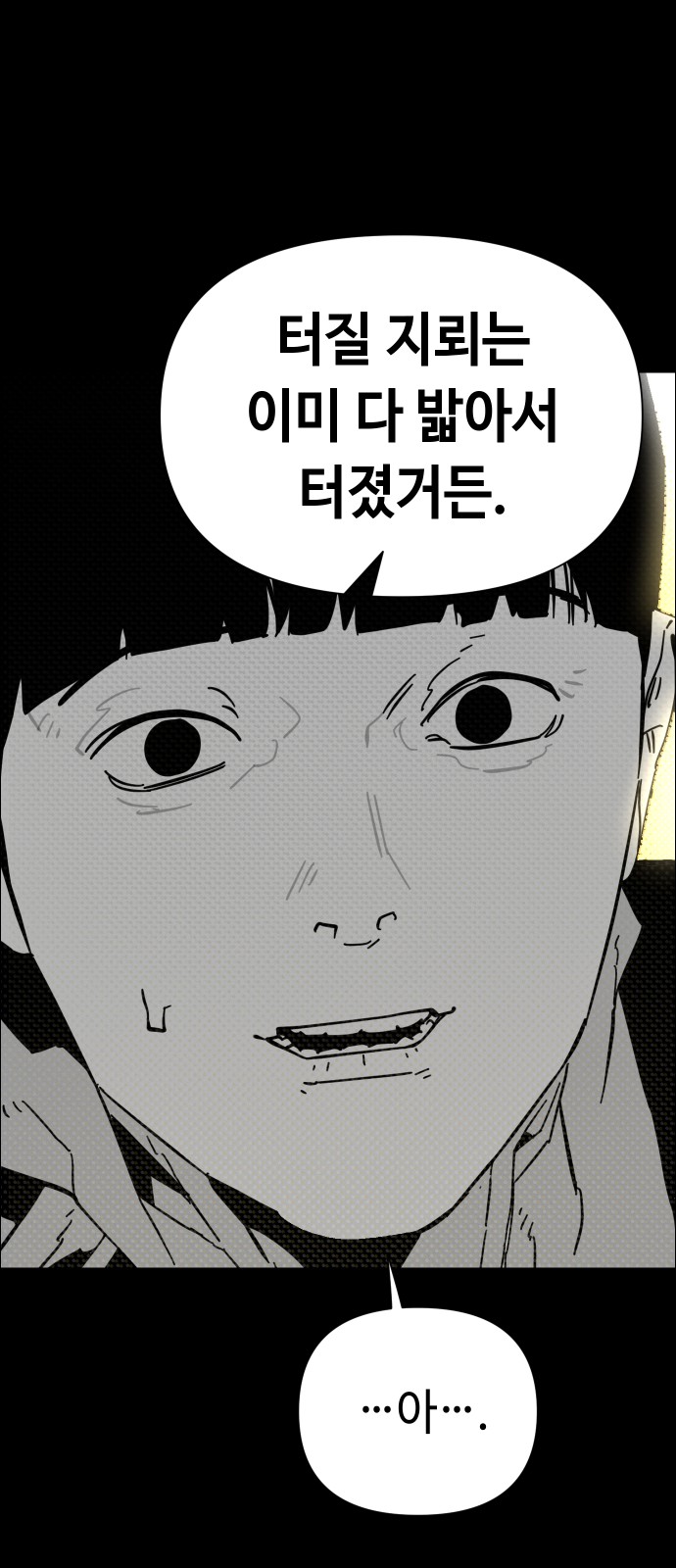 68 페이지