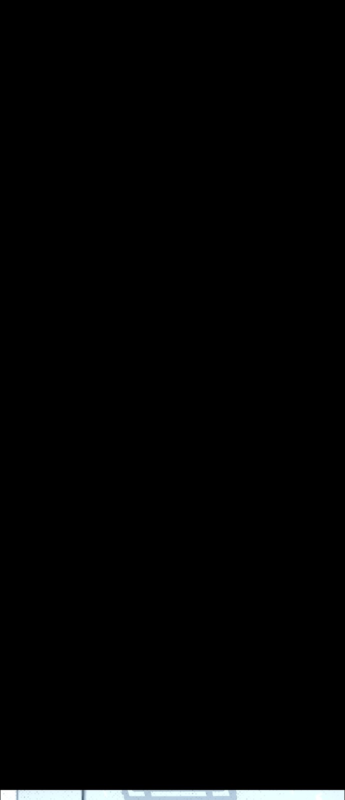 161 페이지