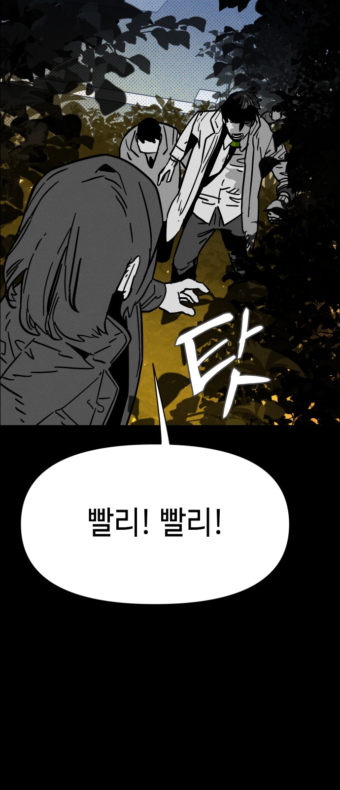 81 페이지