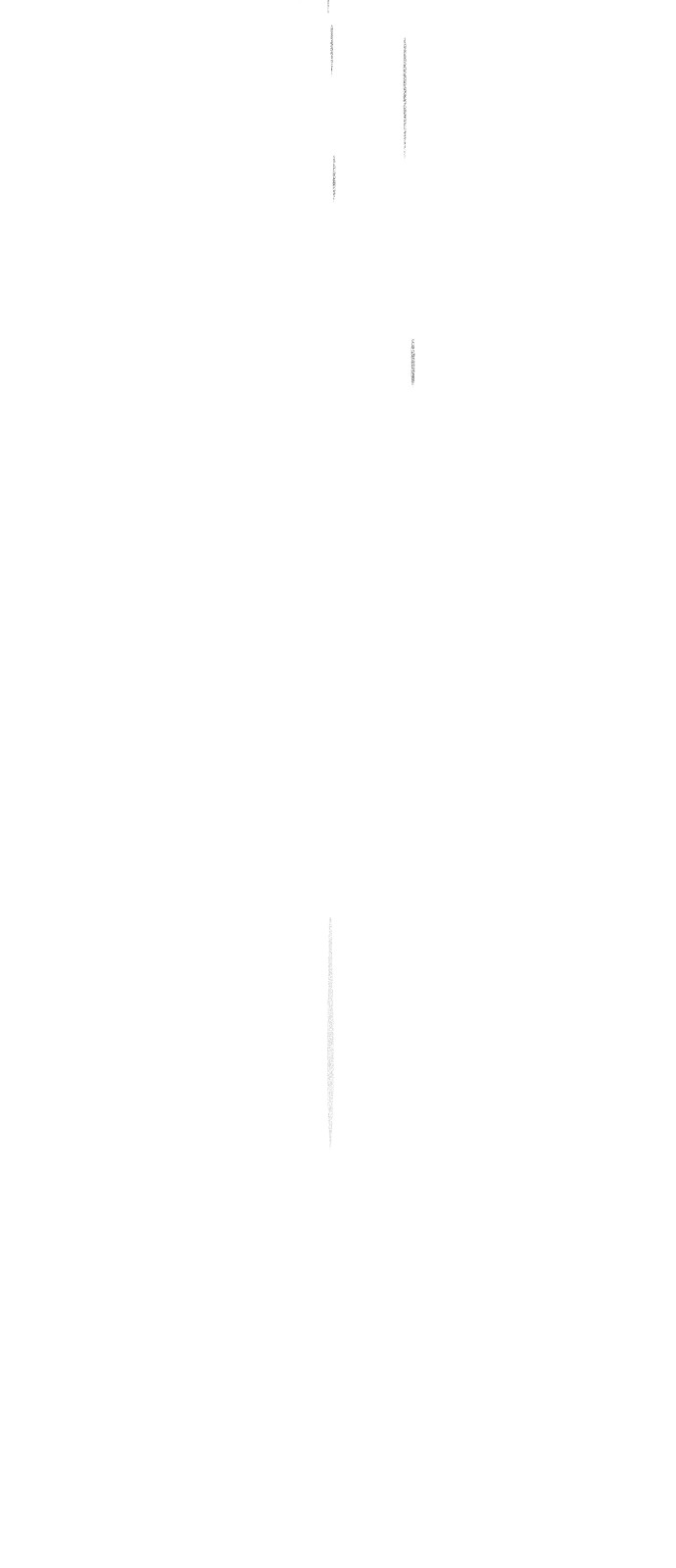 116 페이지