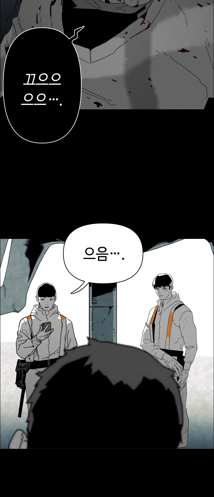 66 페이지