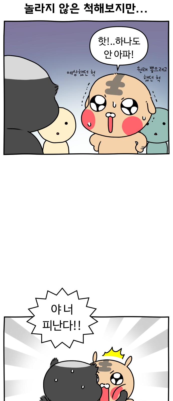 11 페이지