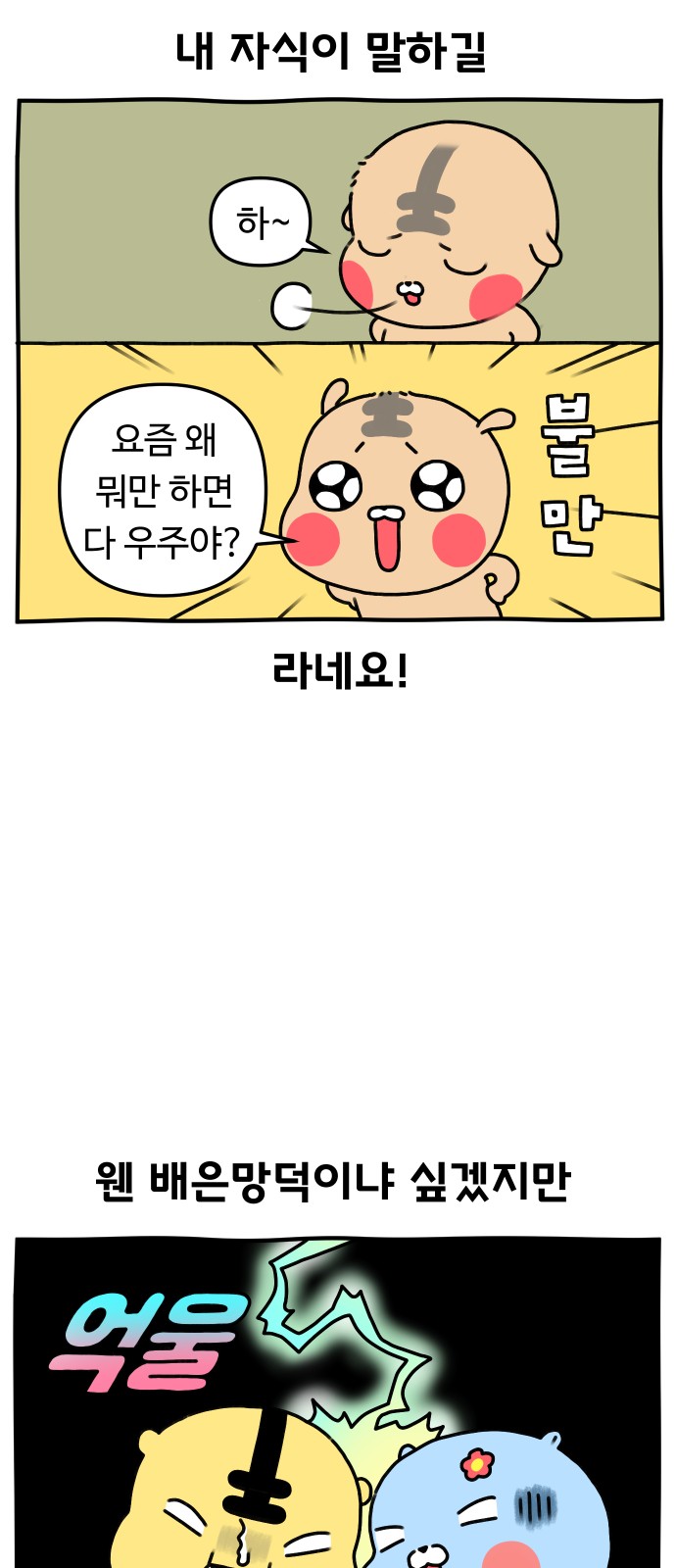 11 페이지