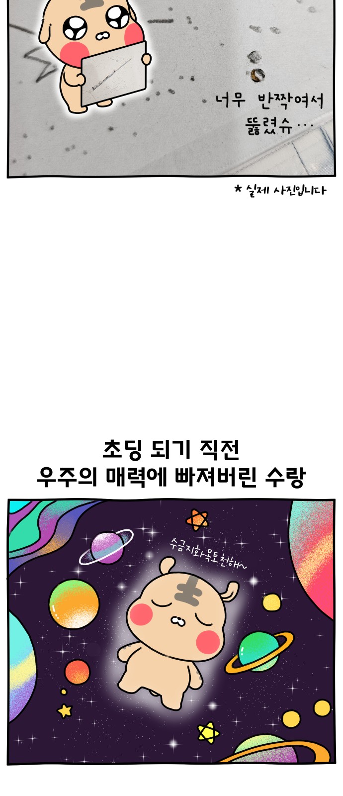6 페이지