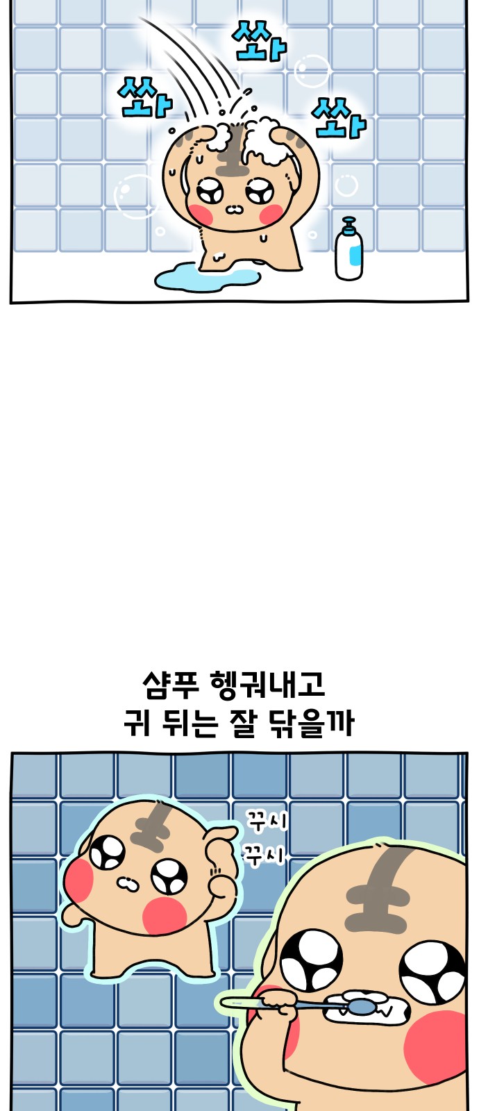 3 페이지