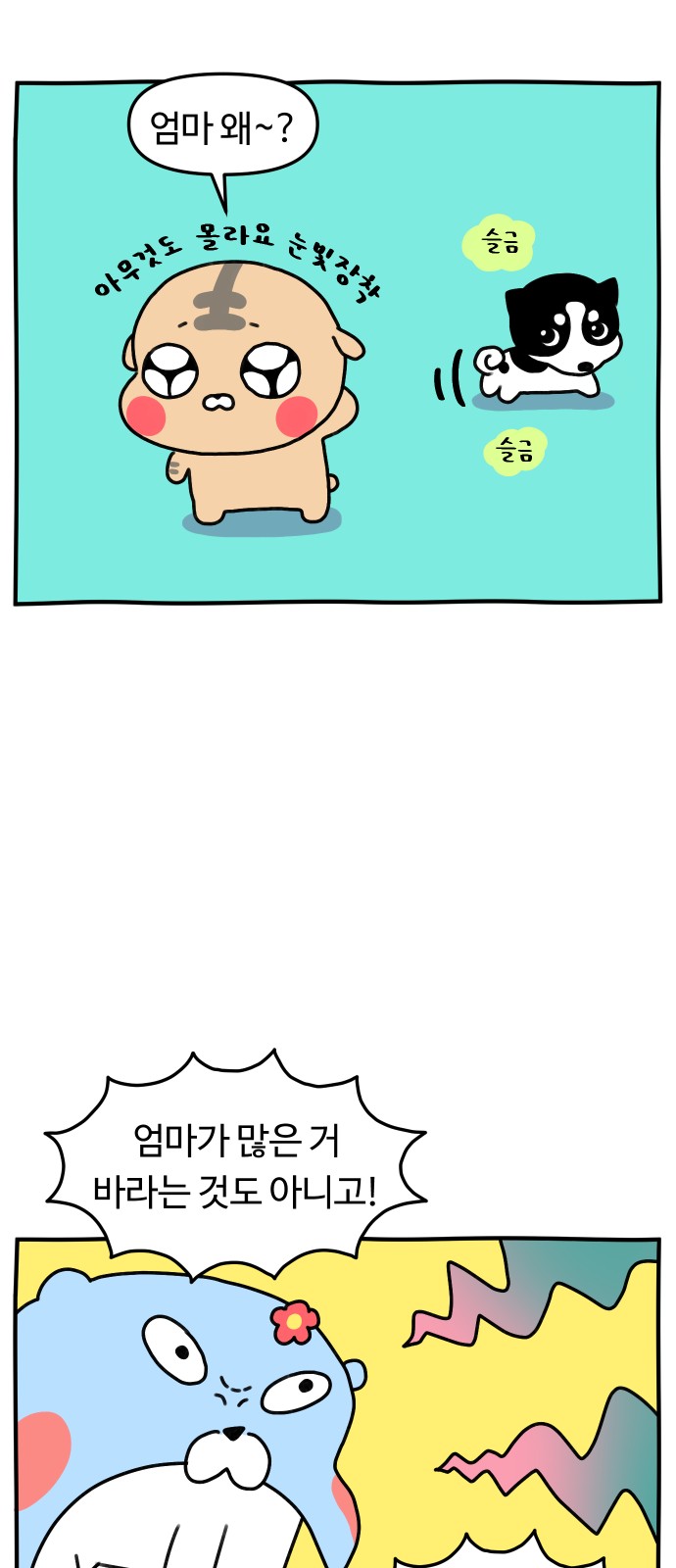 11 페이지