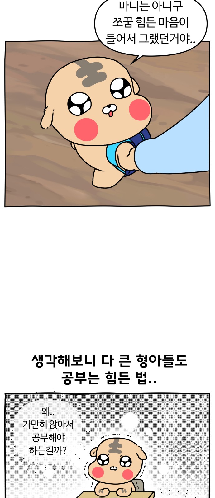 11 페이지