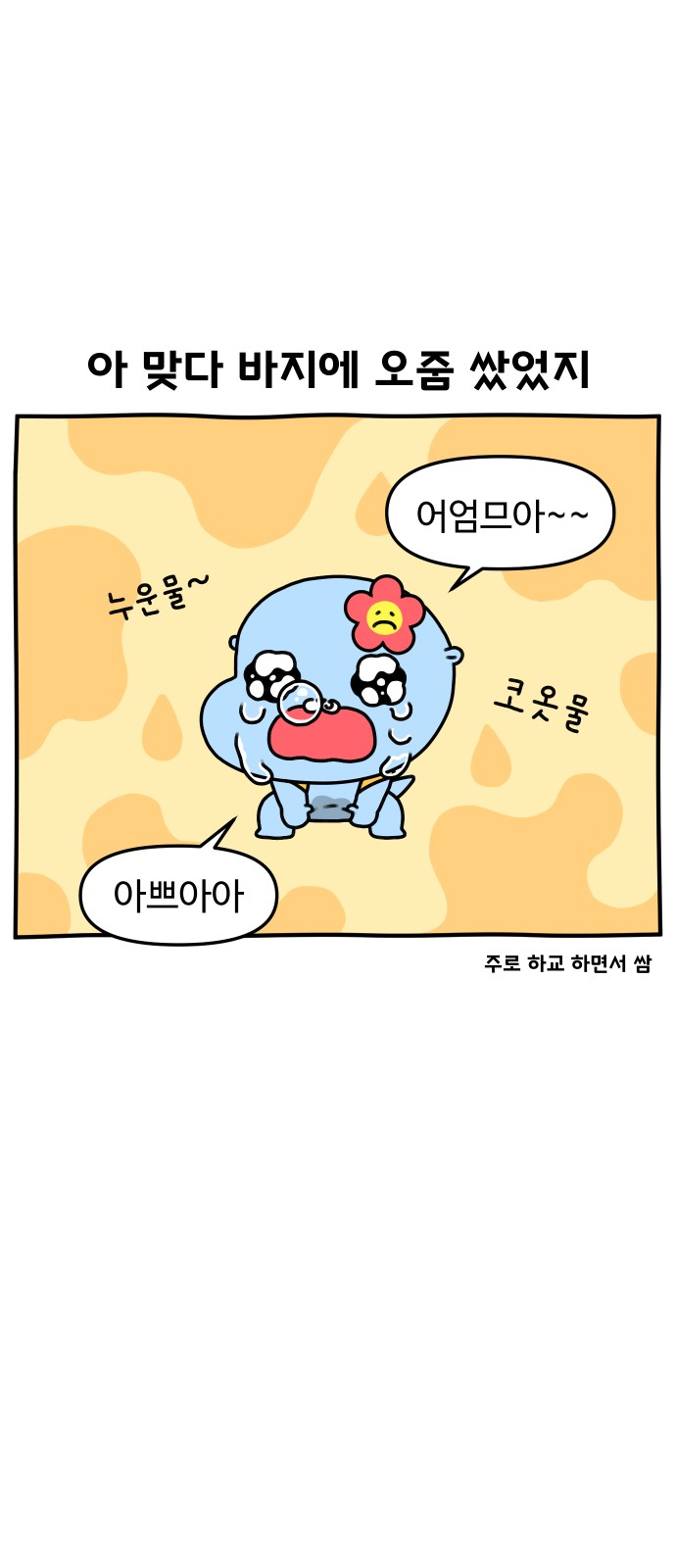 13 페이지