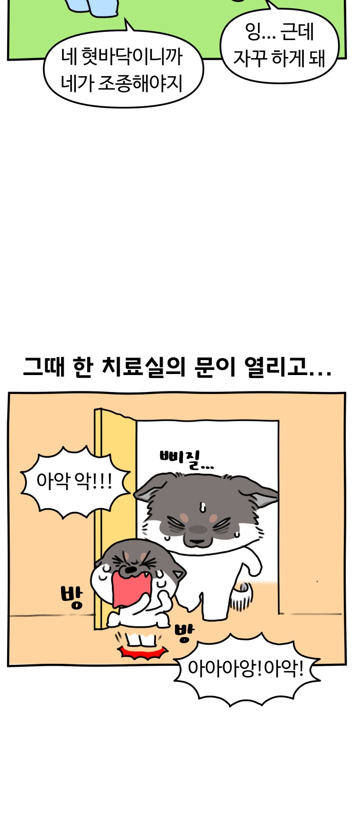 15 페이지