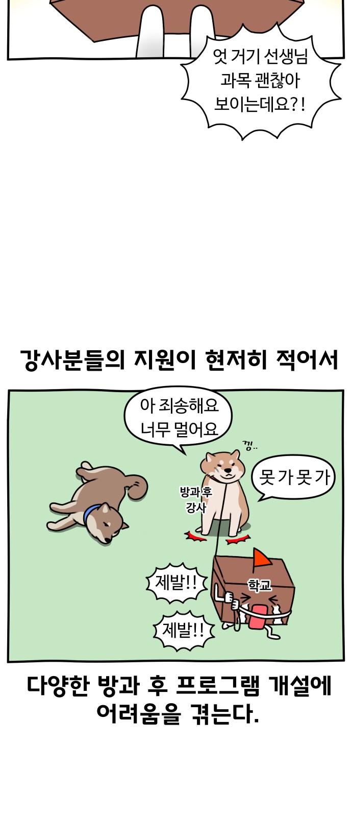 15 페이지