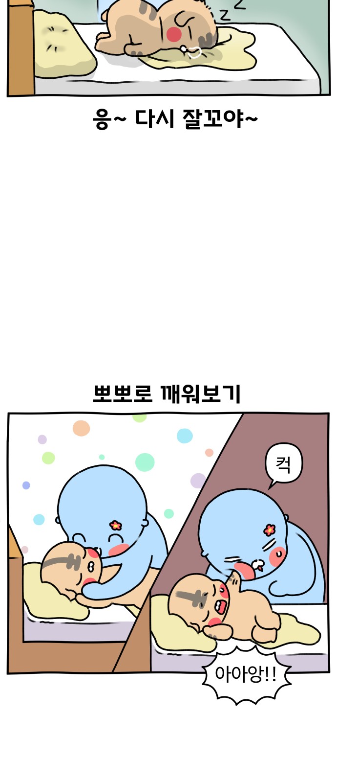 12 페이지