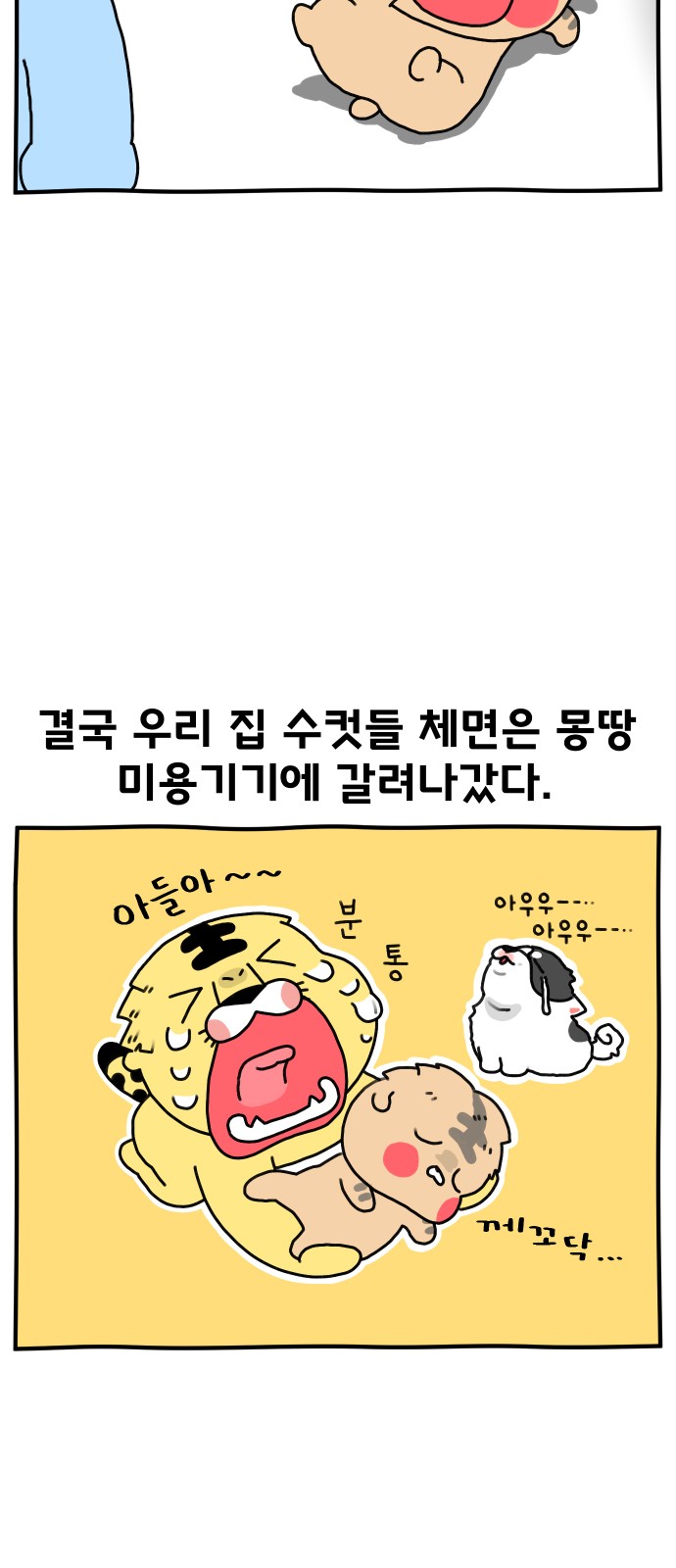12 페이지