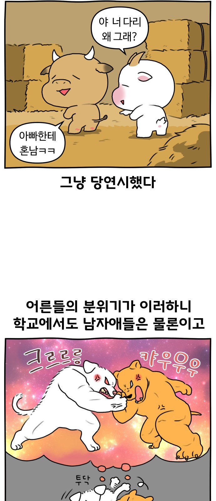 14 페이지