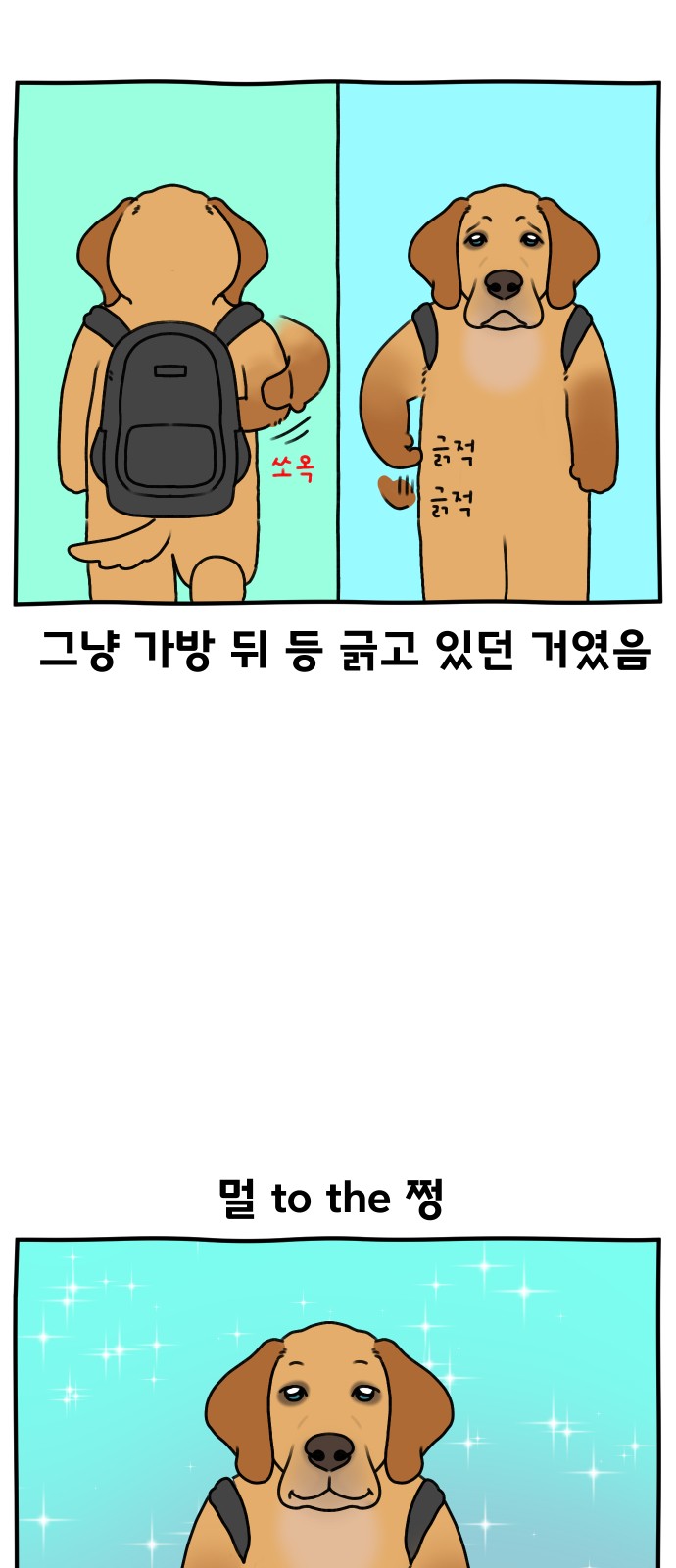 11 페이지