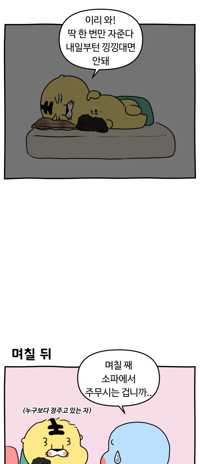 11 페이지
