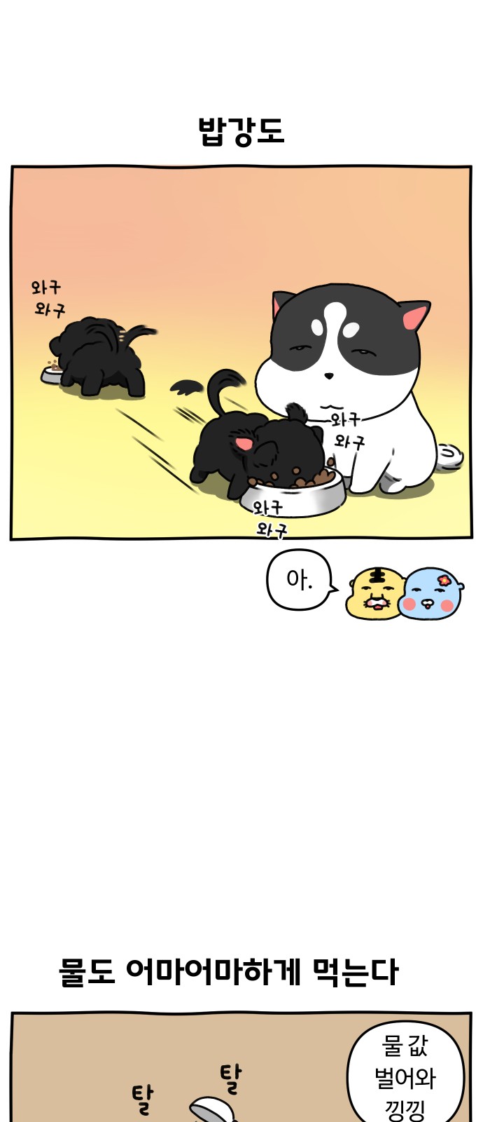 19 페이지