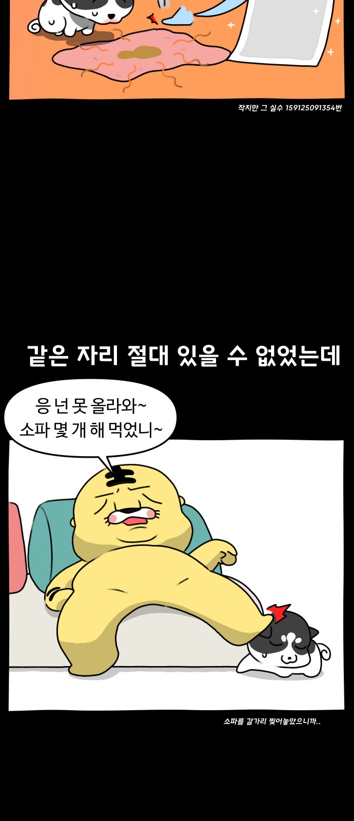 12 페이지
