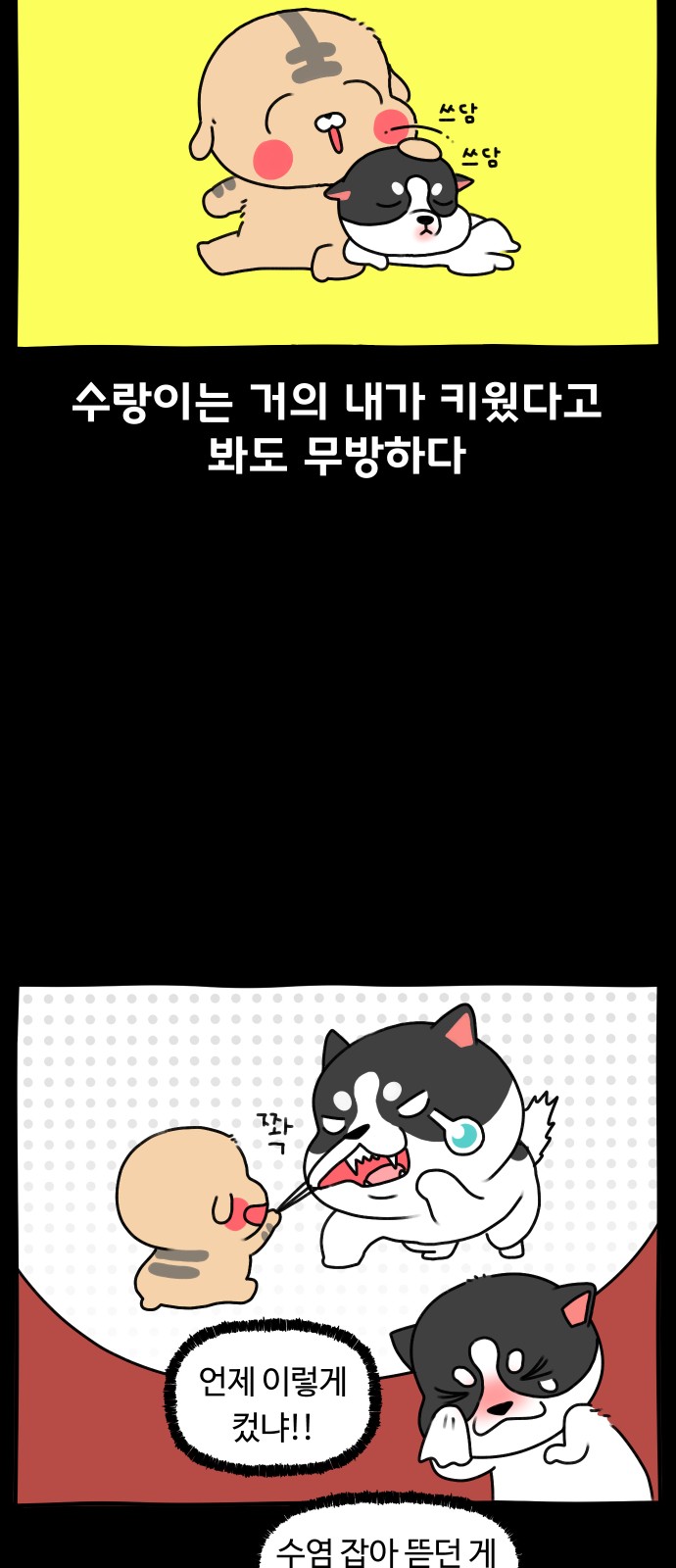 6 페이지