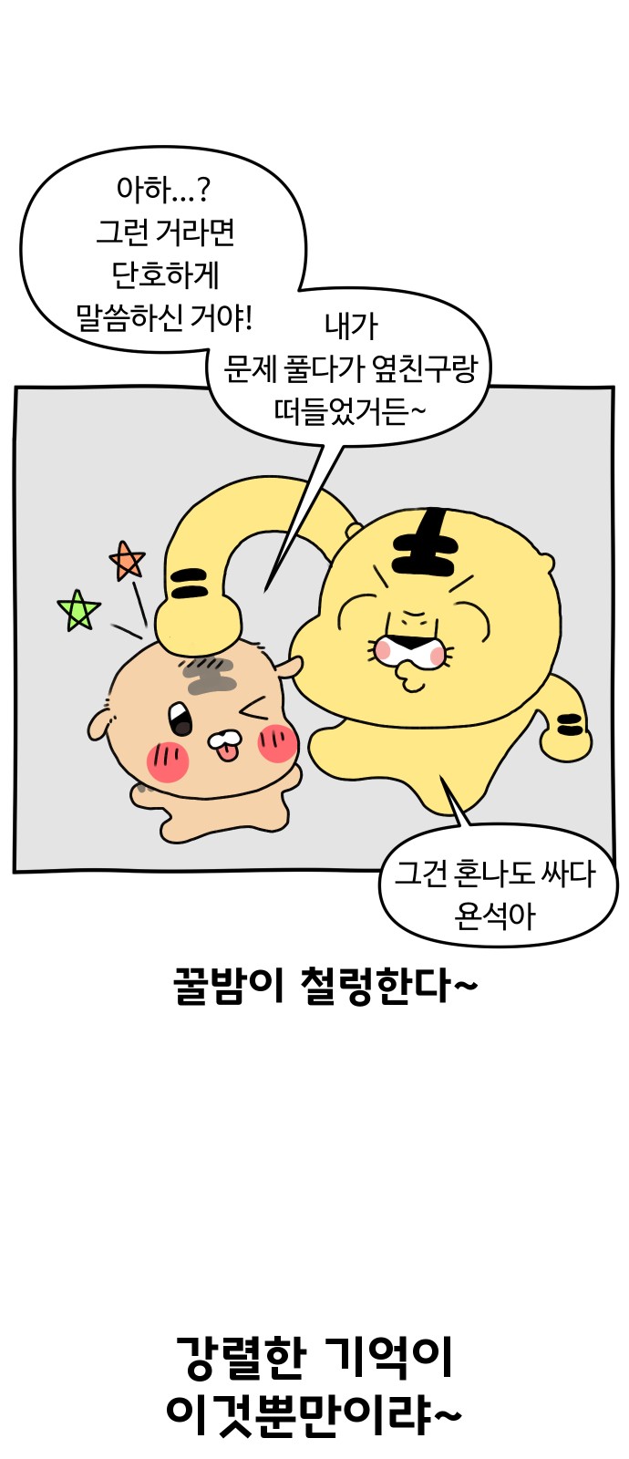 13 페이지