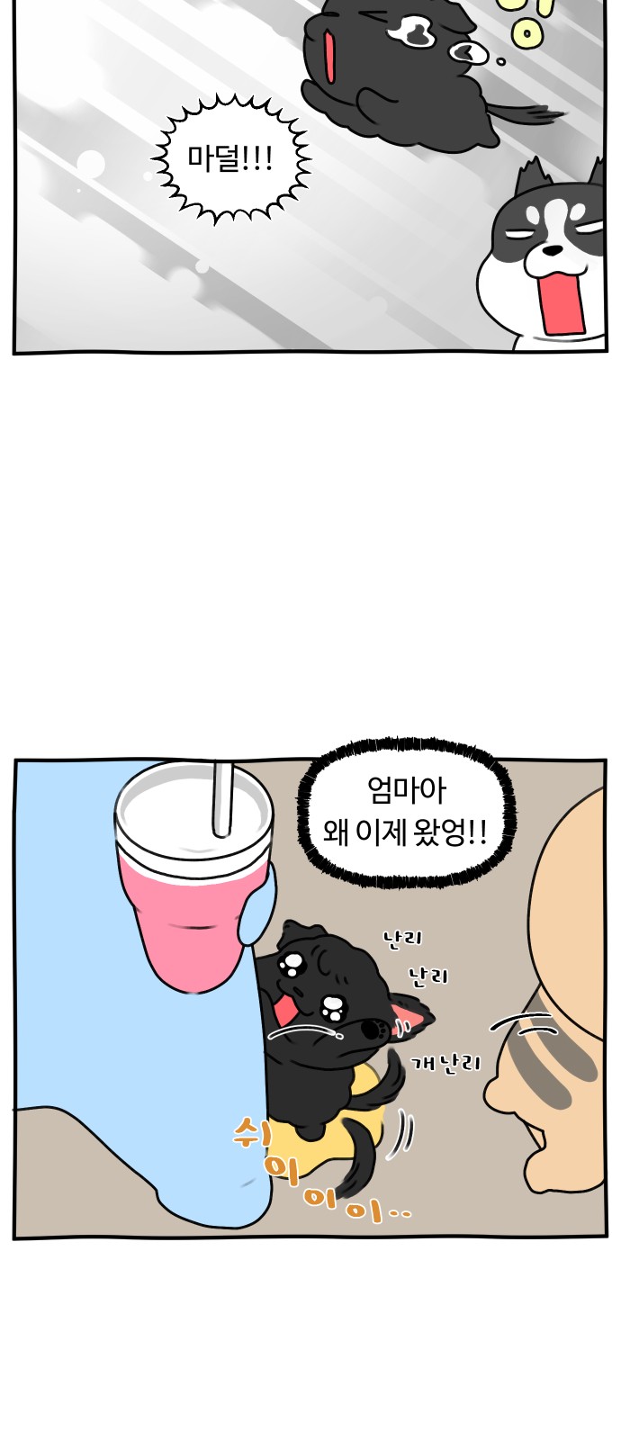 12 페이지