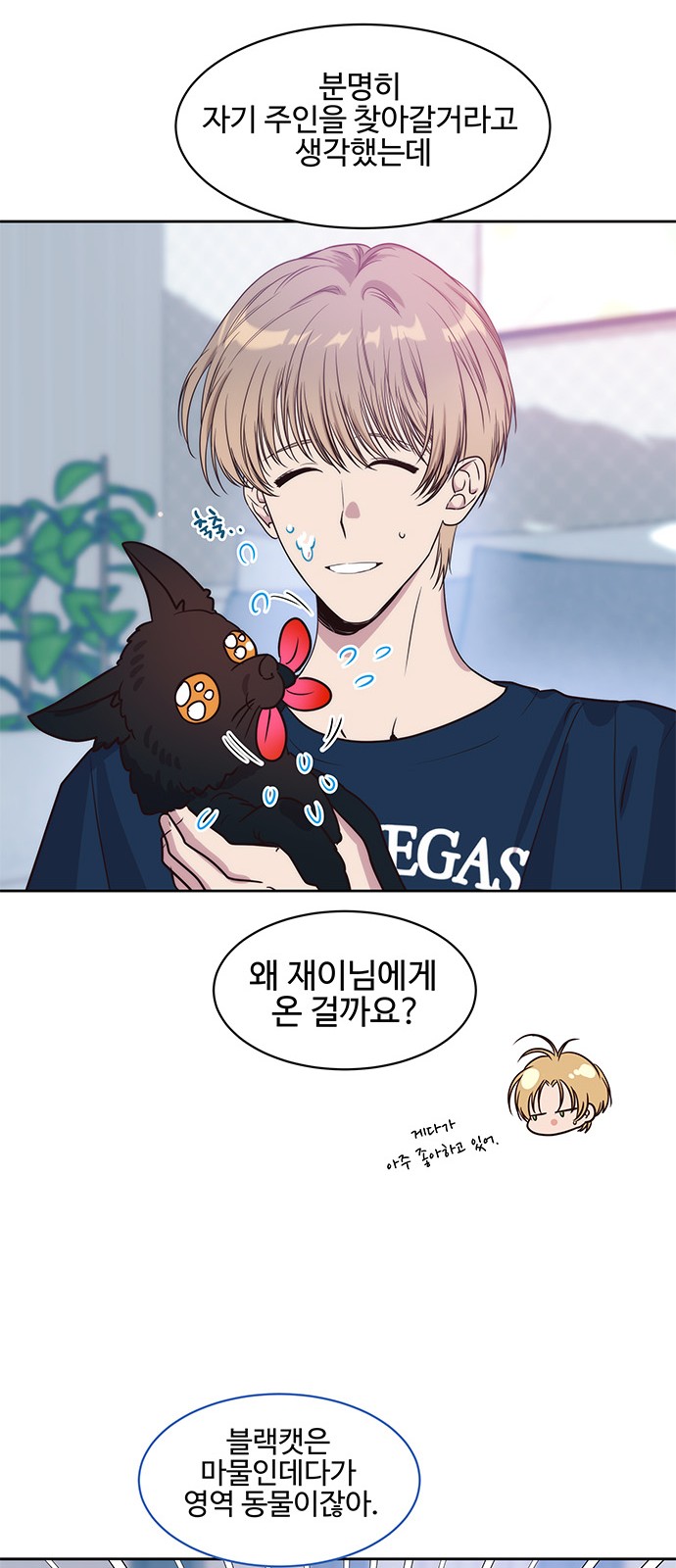22 페이지