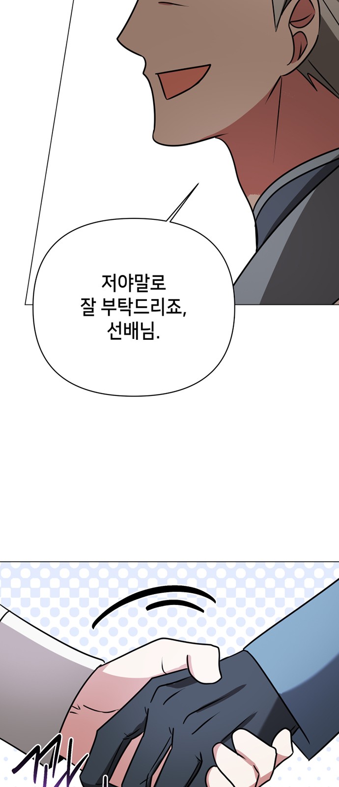 66 페이지