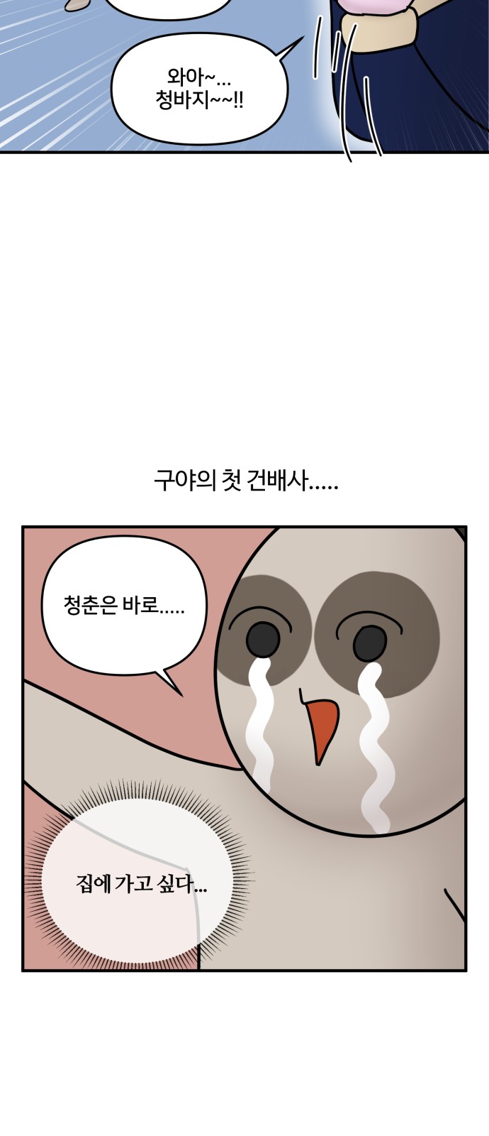 11 페이지