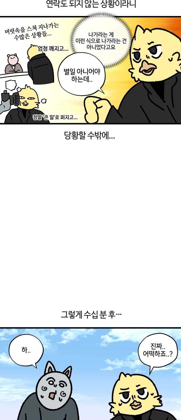 14 페이지