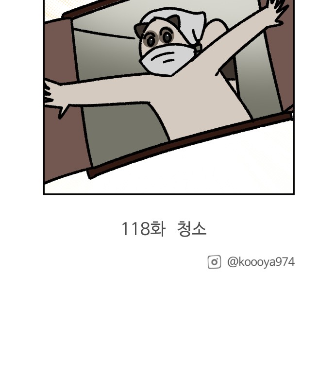17 페이지