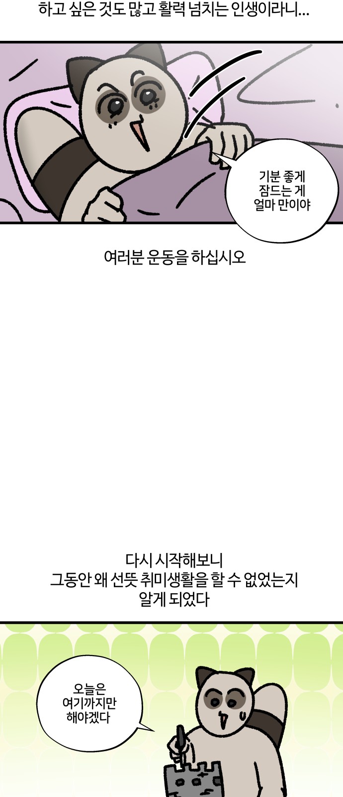 14 페이지