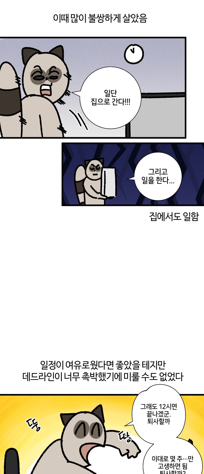 11 페이지