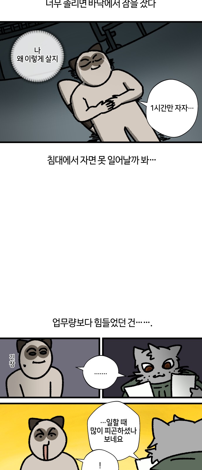 14 페이지