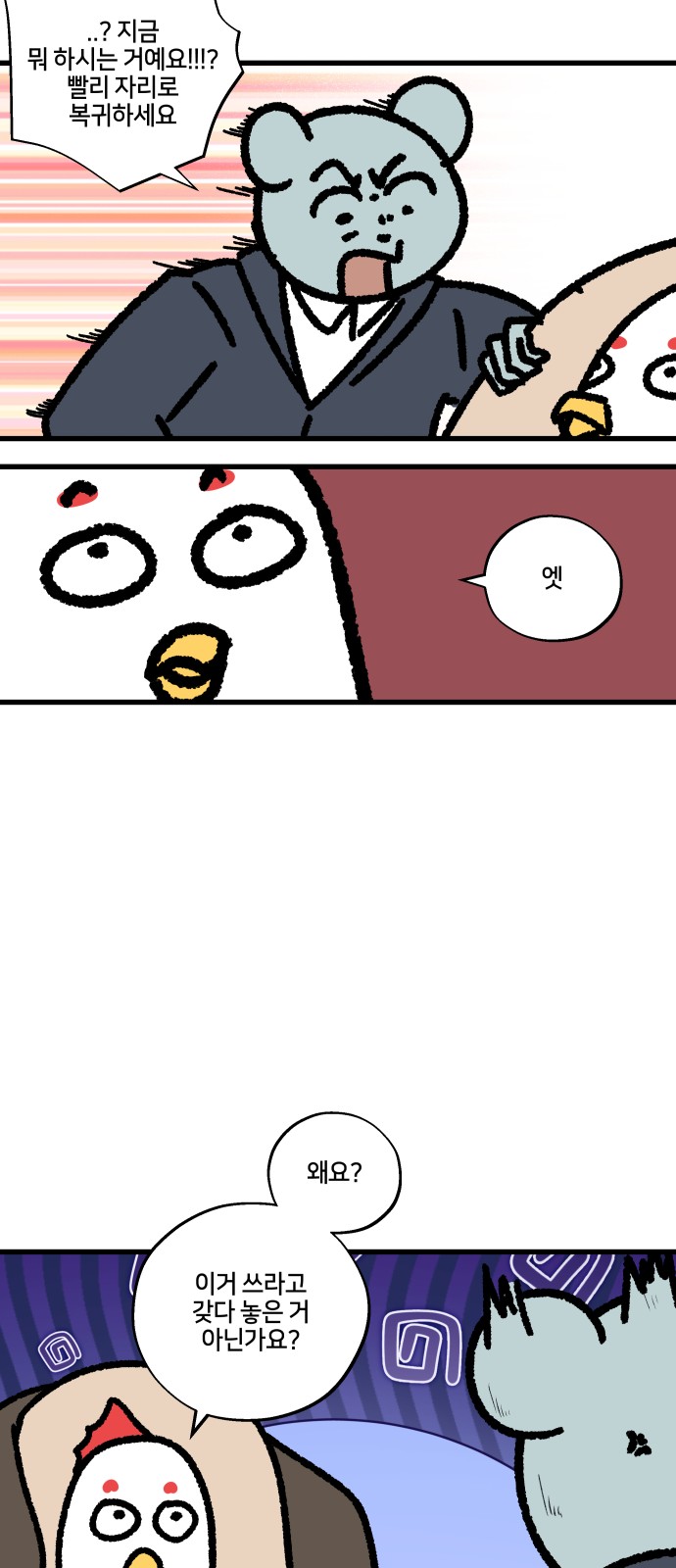 11 페이지