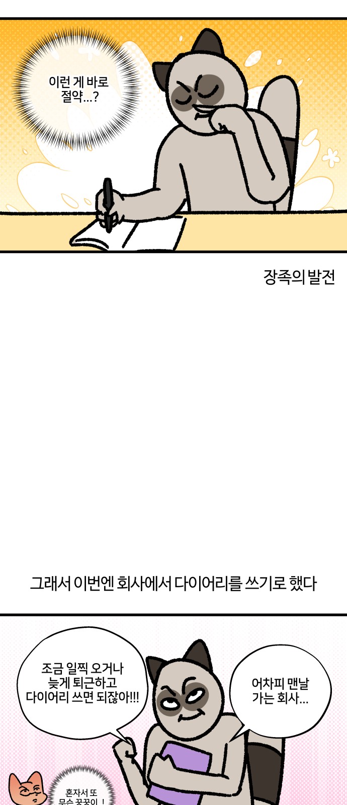 14 페이지