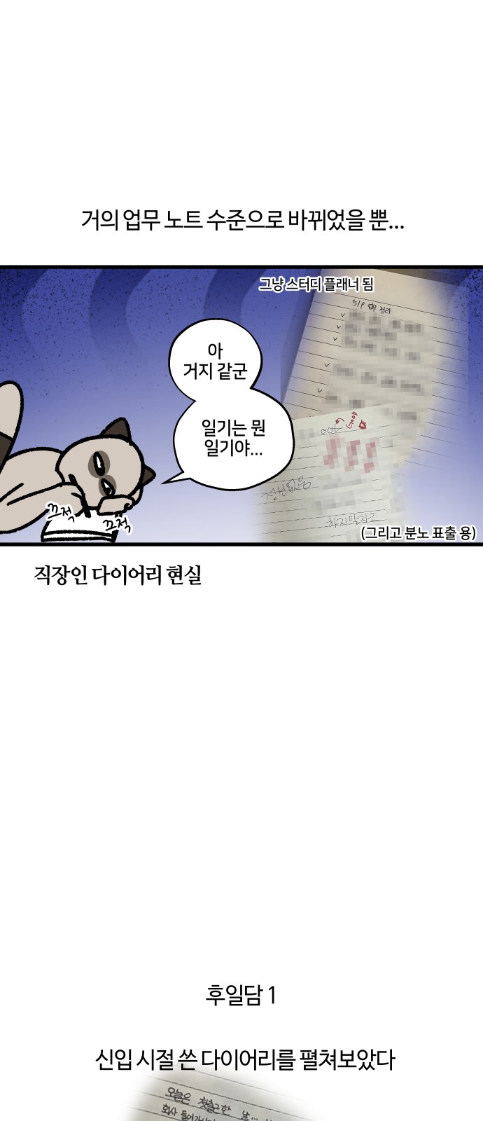 16 페이지