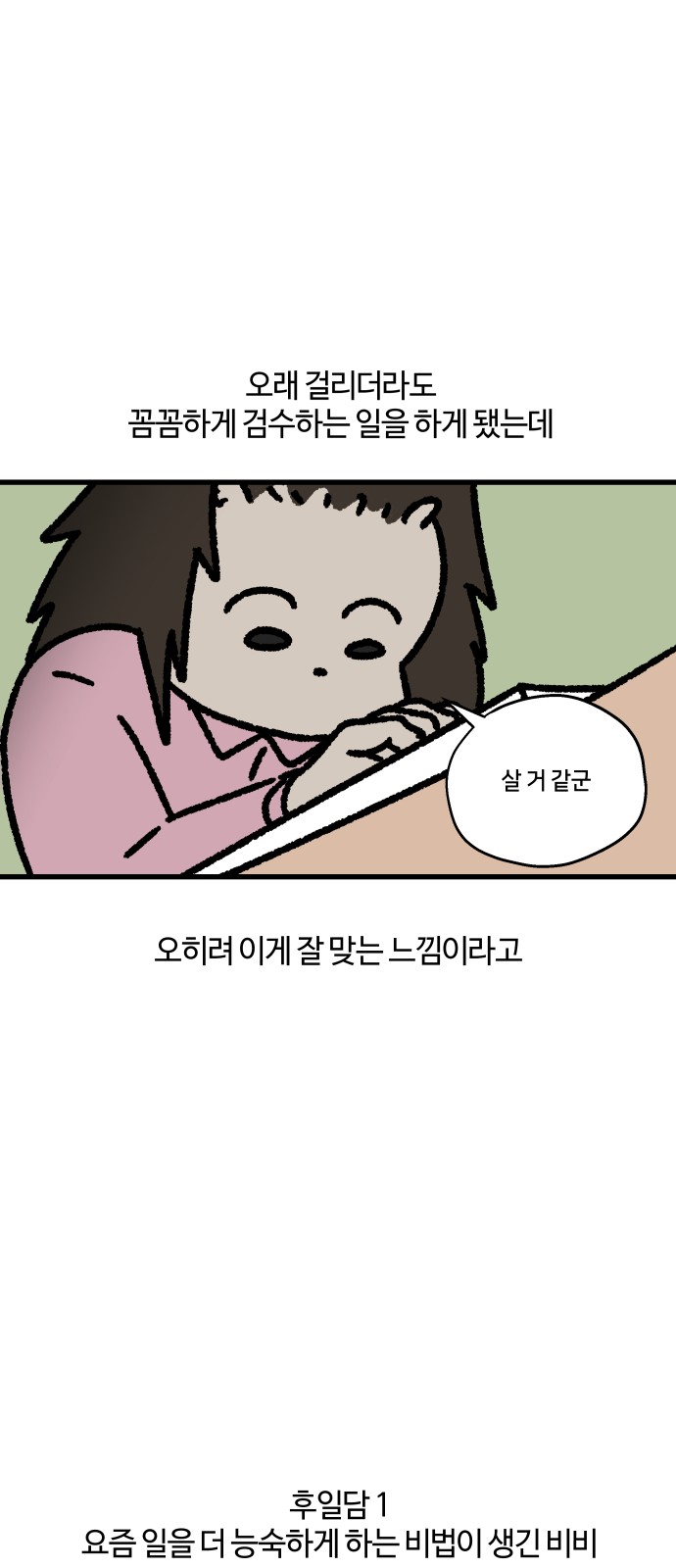 13 페이지