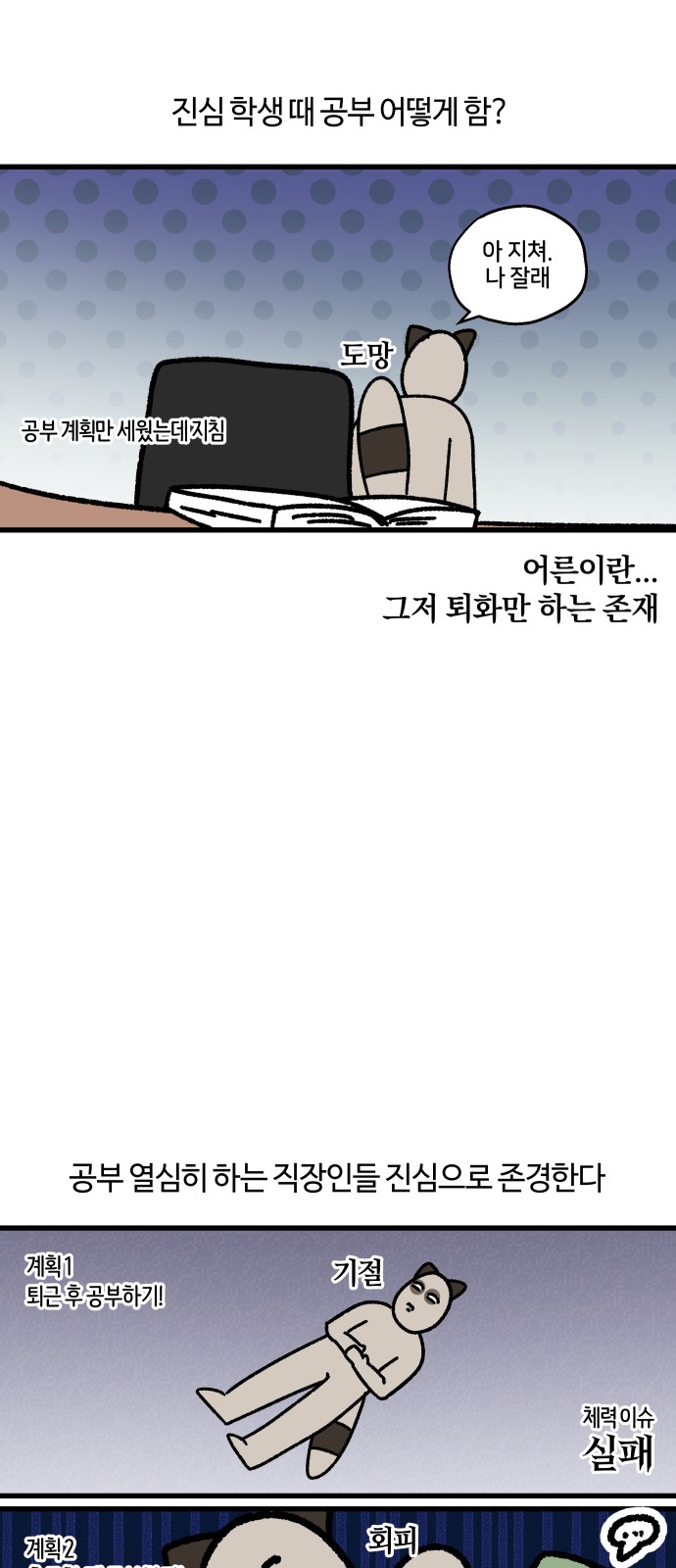 11 페이지