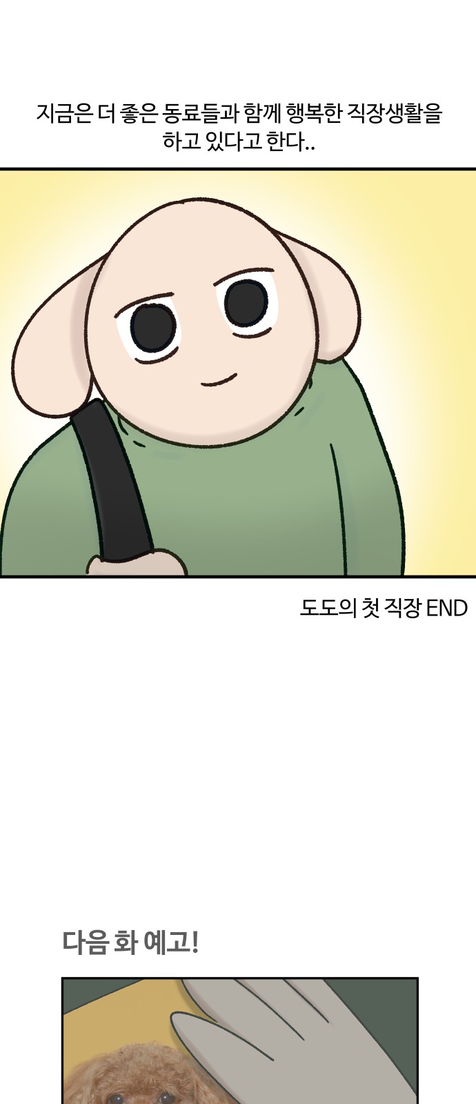 19 페이지