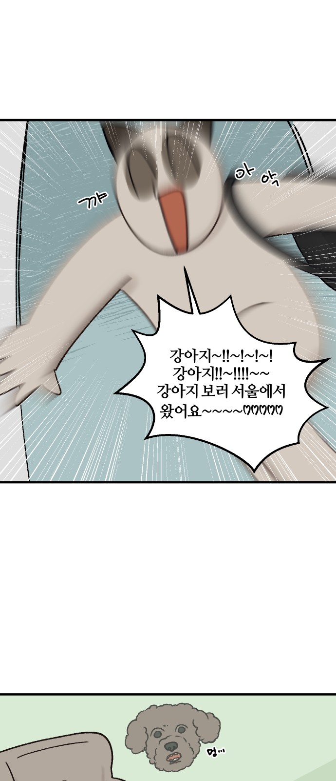 16 페이지