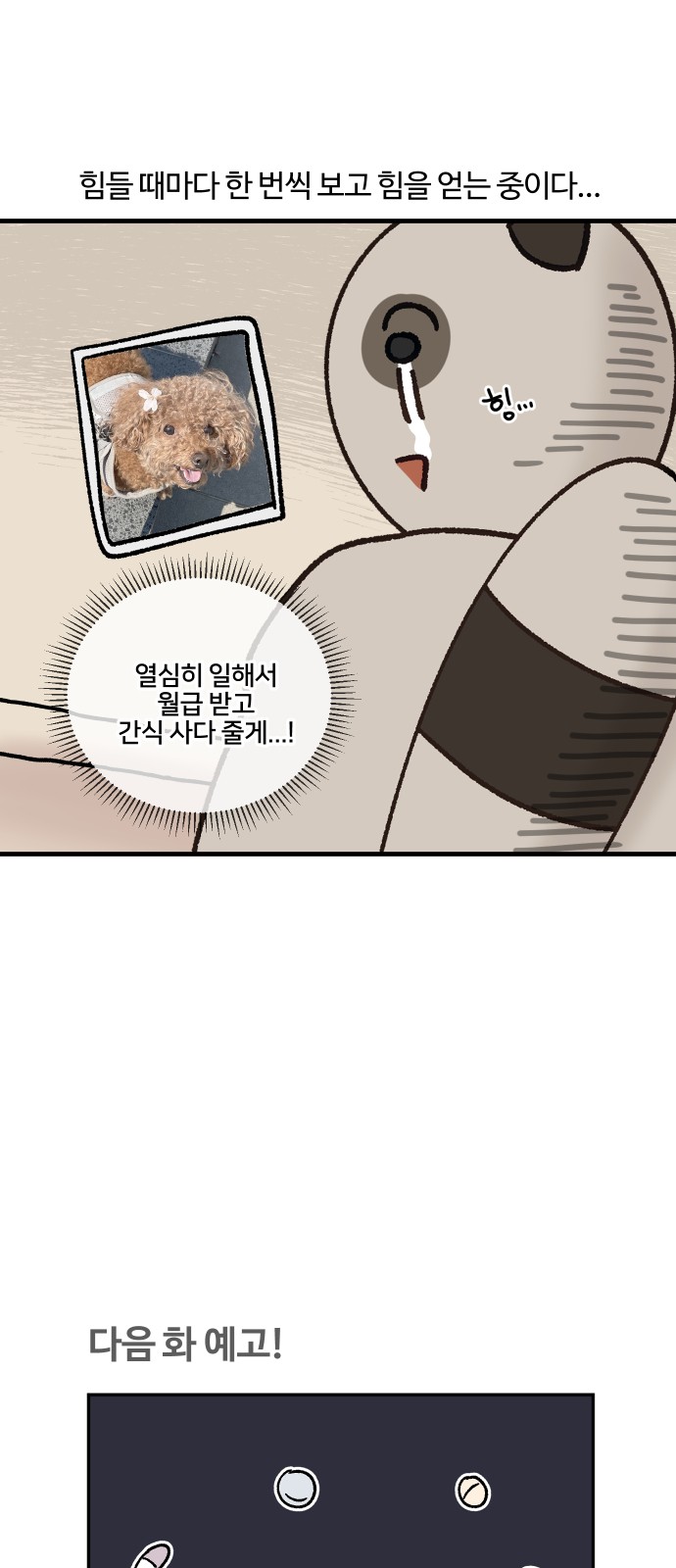 19 페이지