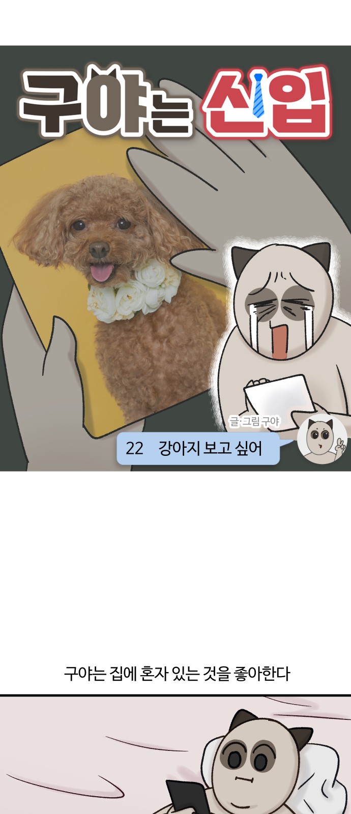 5 페이지