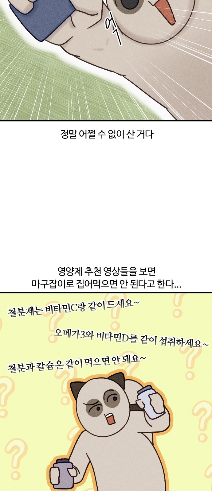 6 페이지