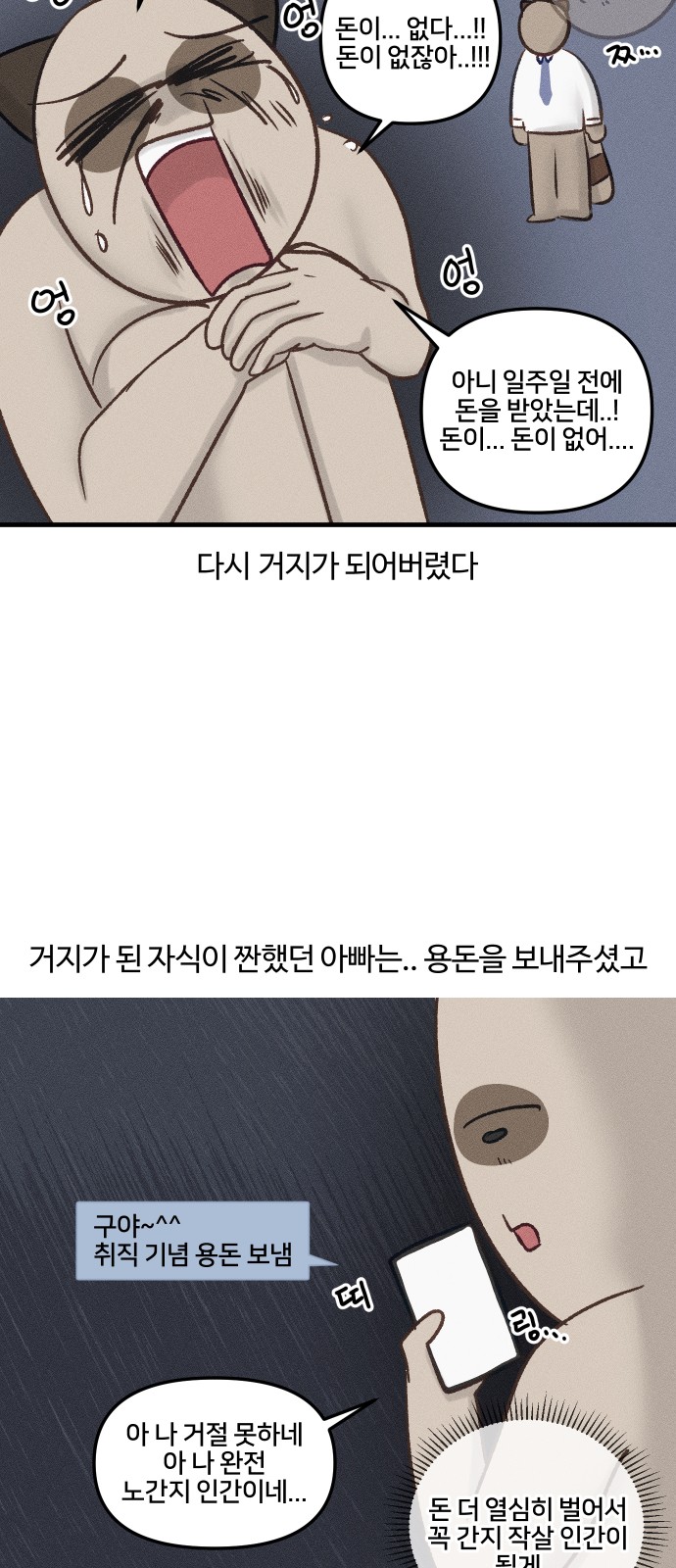 17 페이지