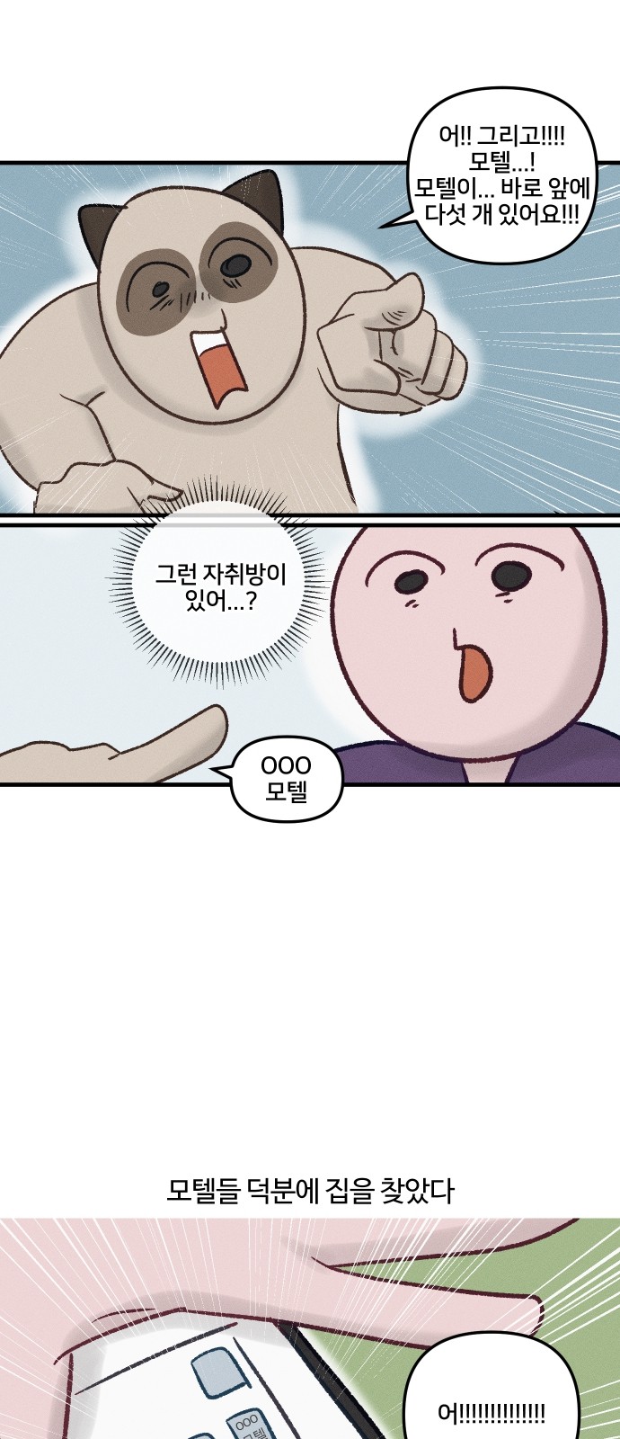19 페이지
