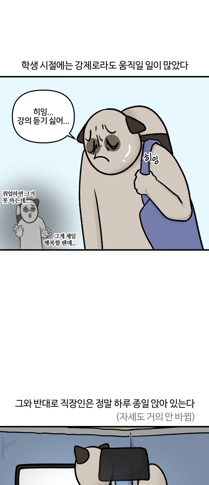 5 페이지