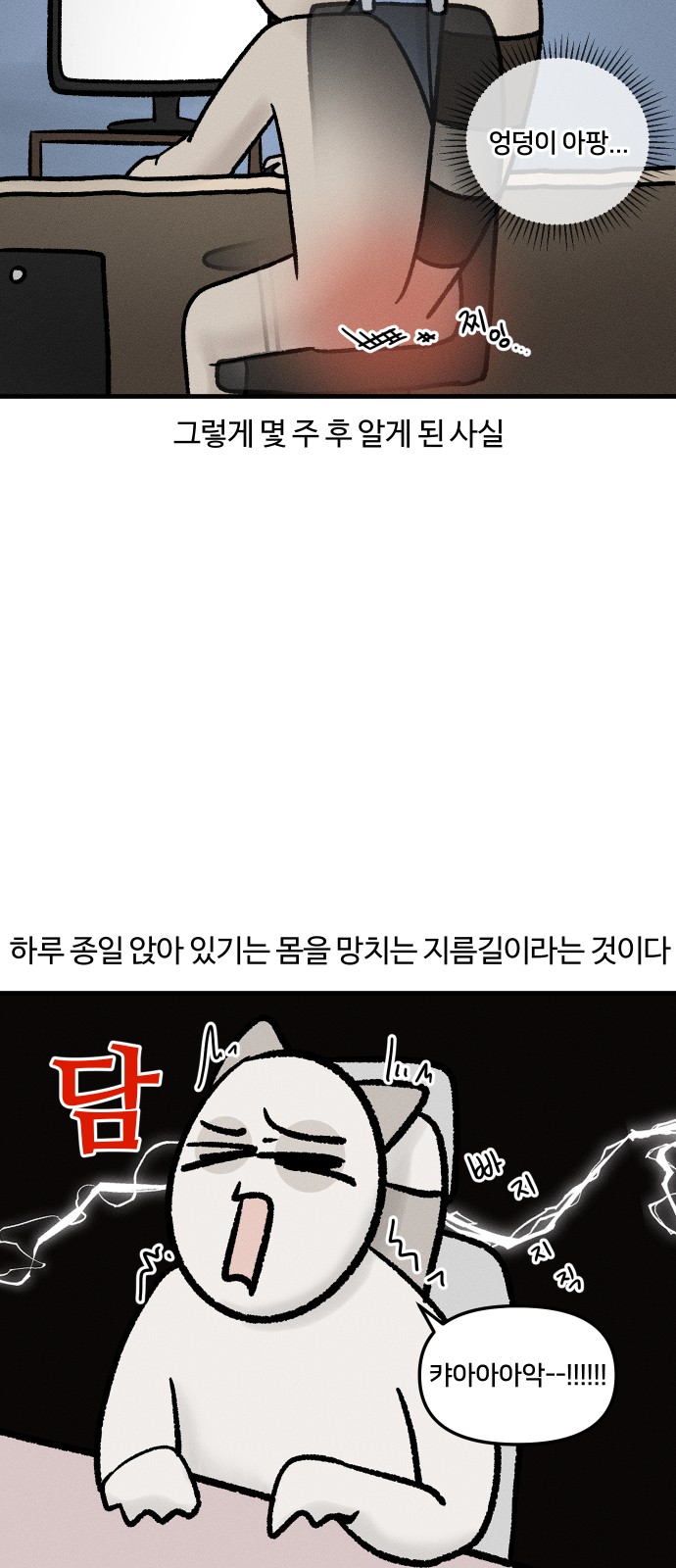 6 페이지