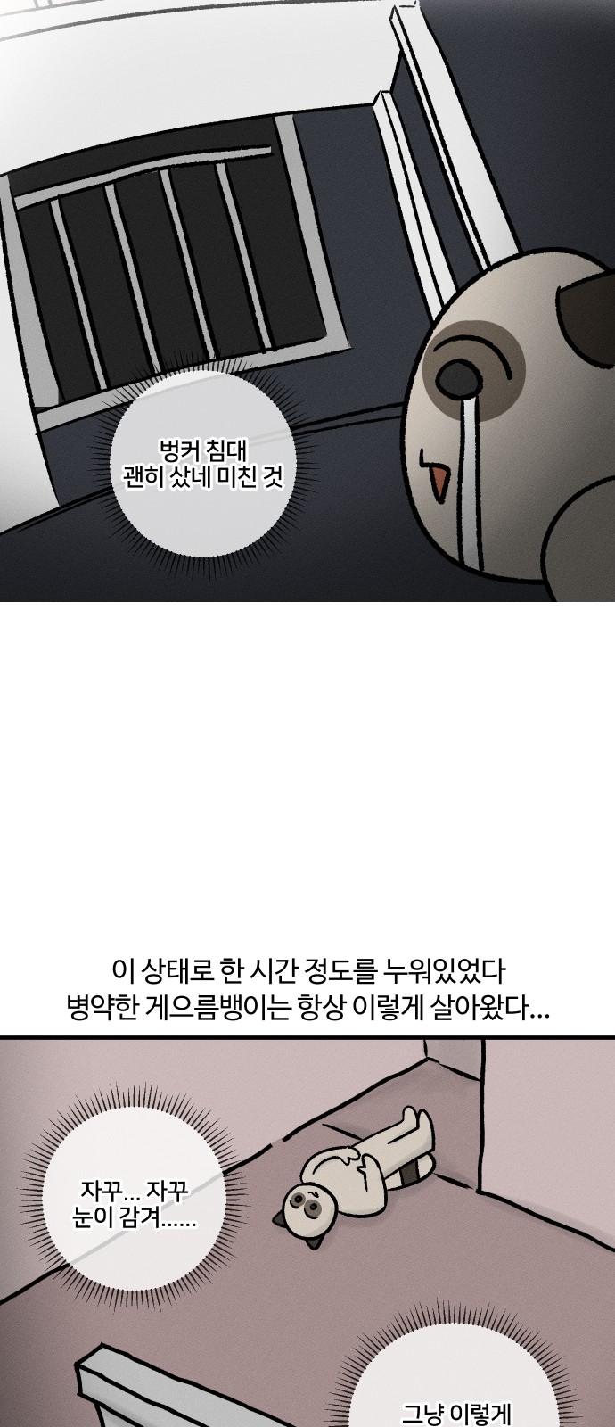 14 페이지